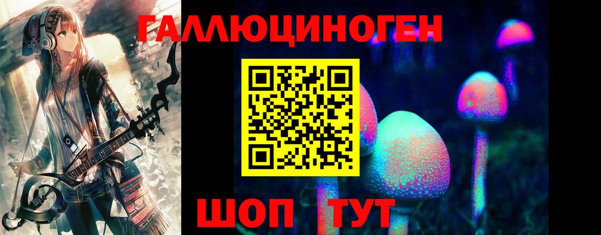 Галлюциногенные грибы MAGIC MUSHROOMS  Вход с VPN  Кемерово 